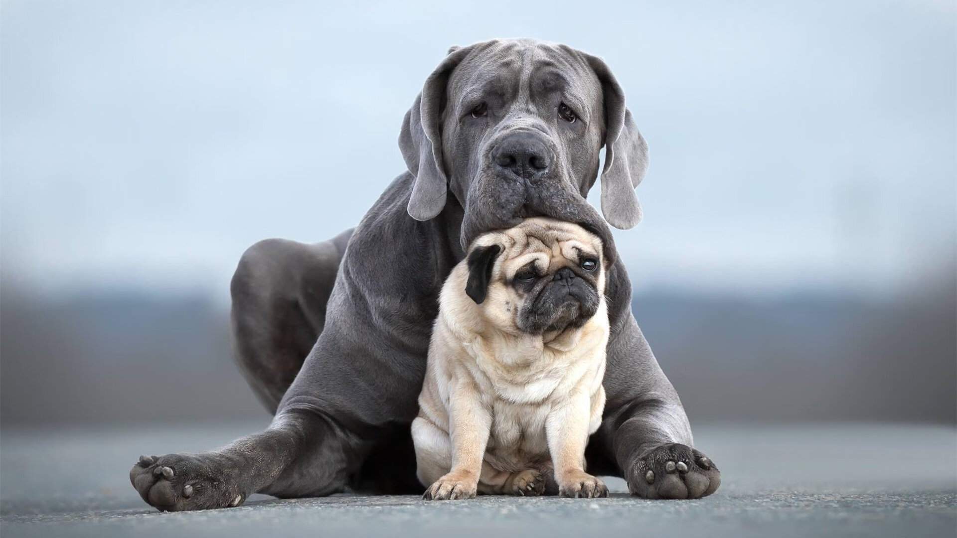 熊猫体育官方-年度焦点之战之夜，阿拉巴全程高能输出，铸就防守艺术巅峰