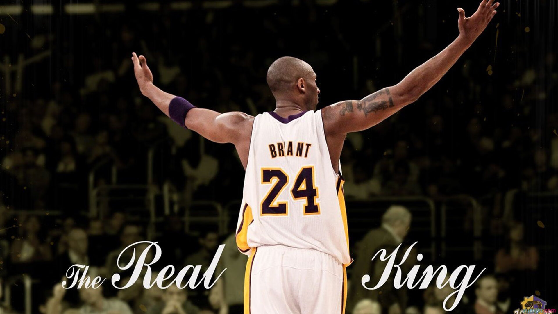 拉梅洛闪耀全场，奇才硬仗力克山西队